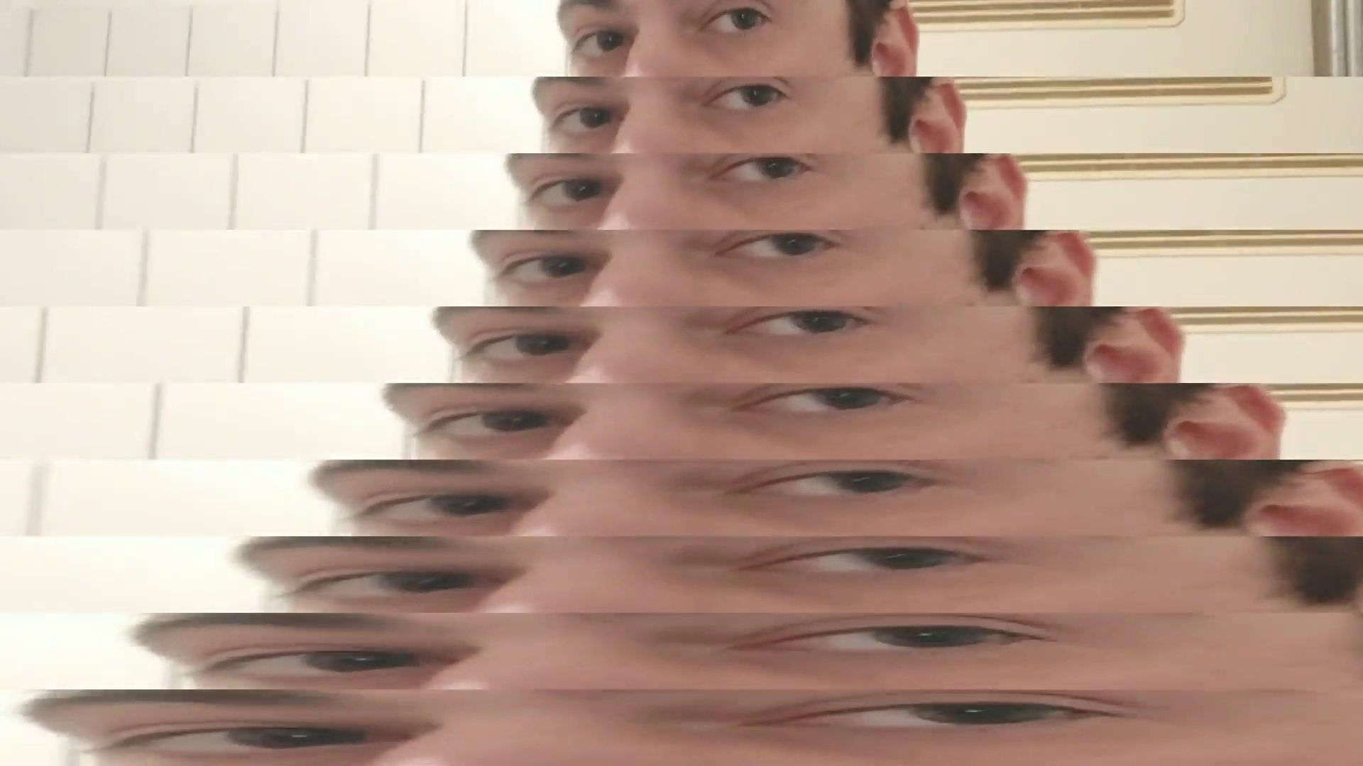 I.F.O.M. - Princess Camel x RGBdog (Music Video)