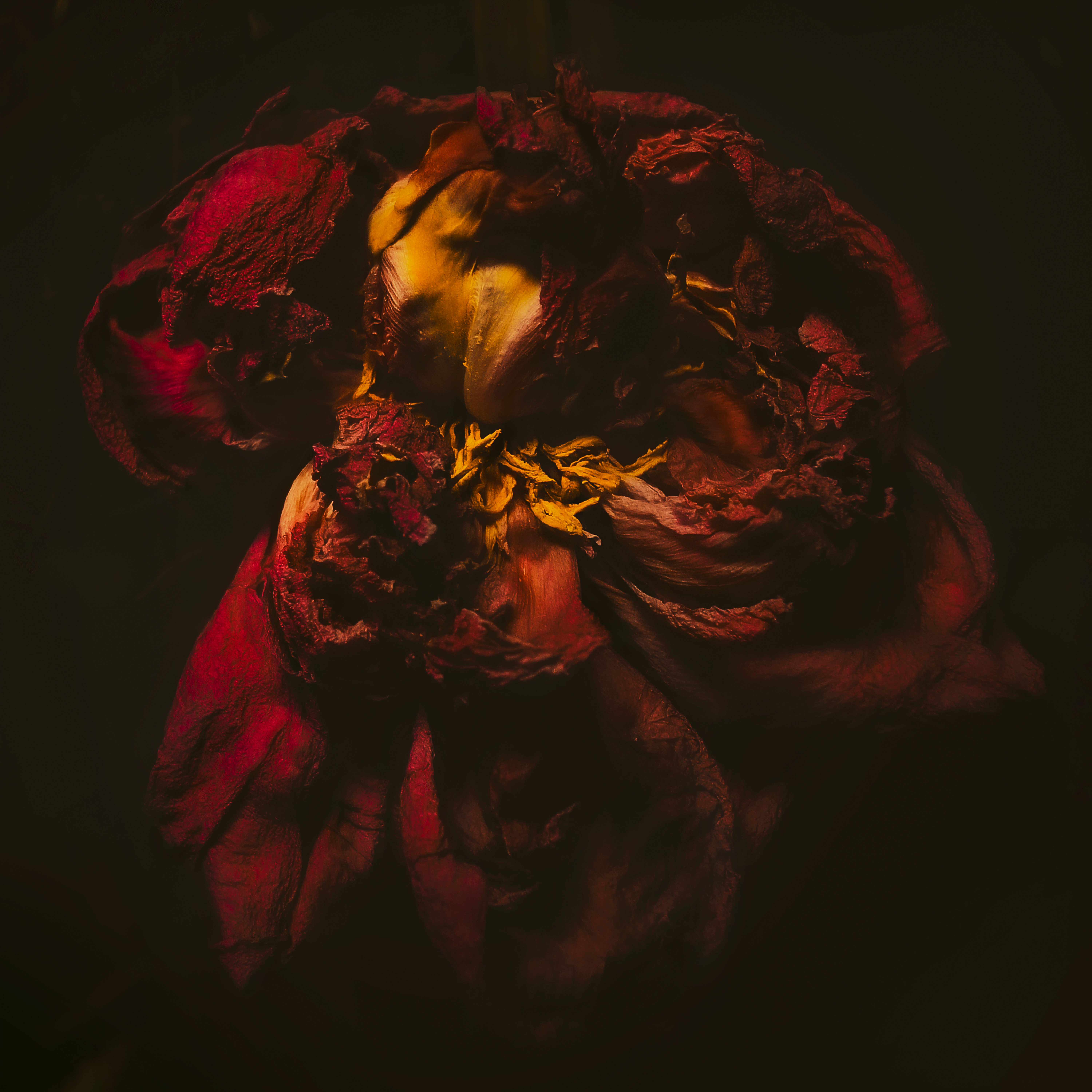 AGAMEMNON