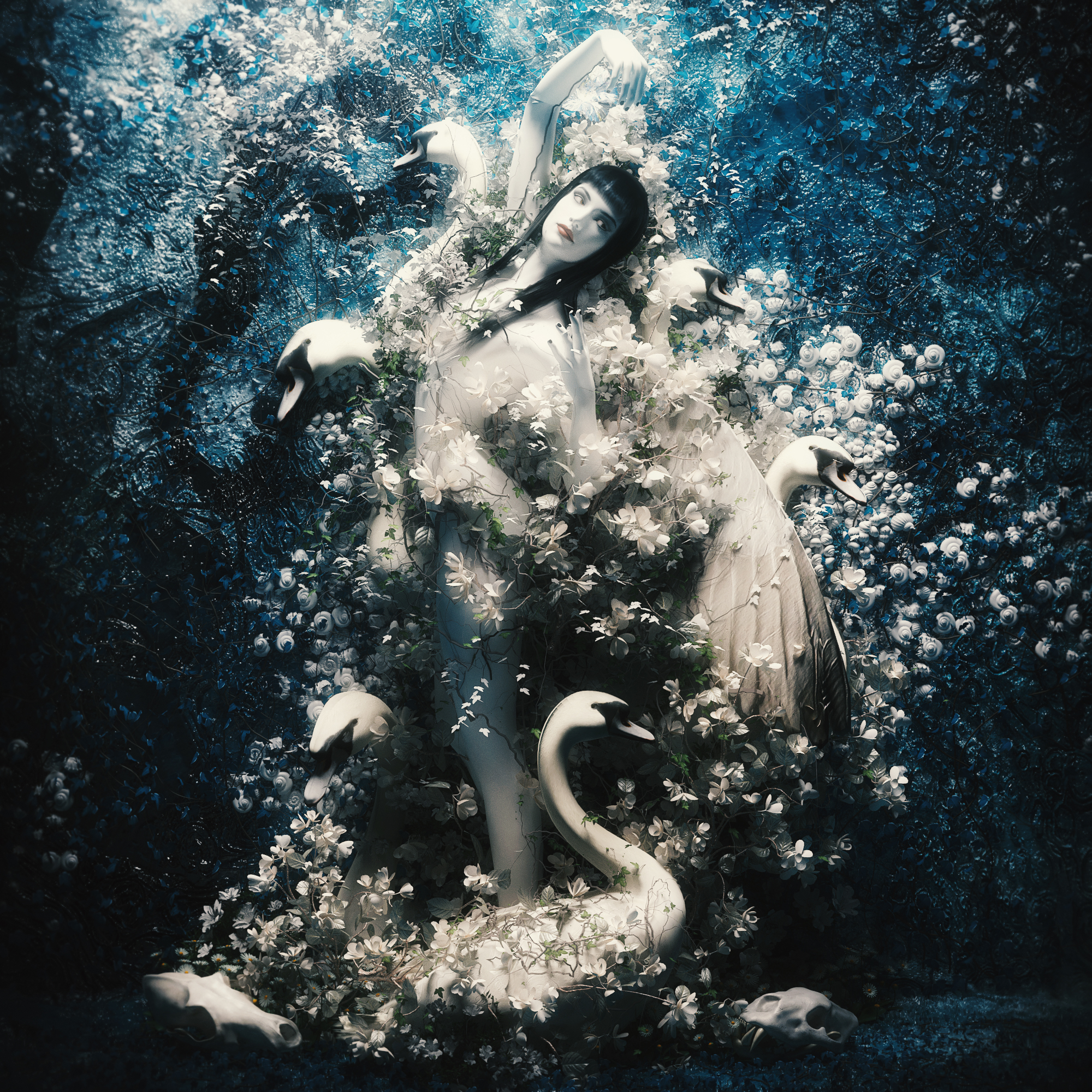 Swan Lady