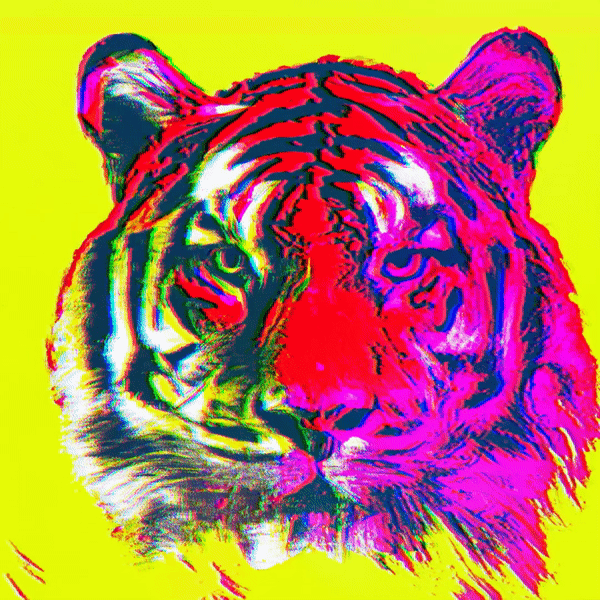 TIGER  - SA#003