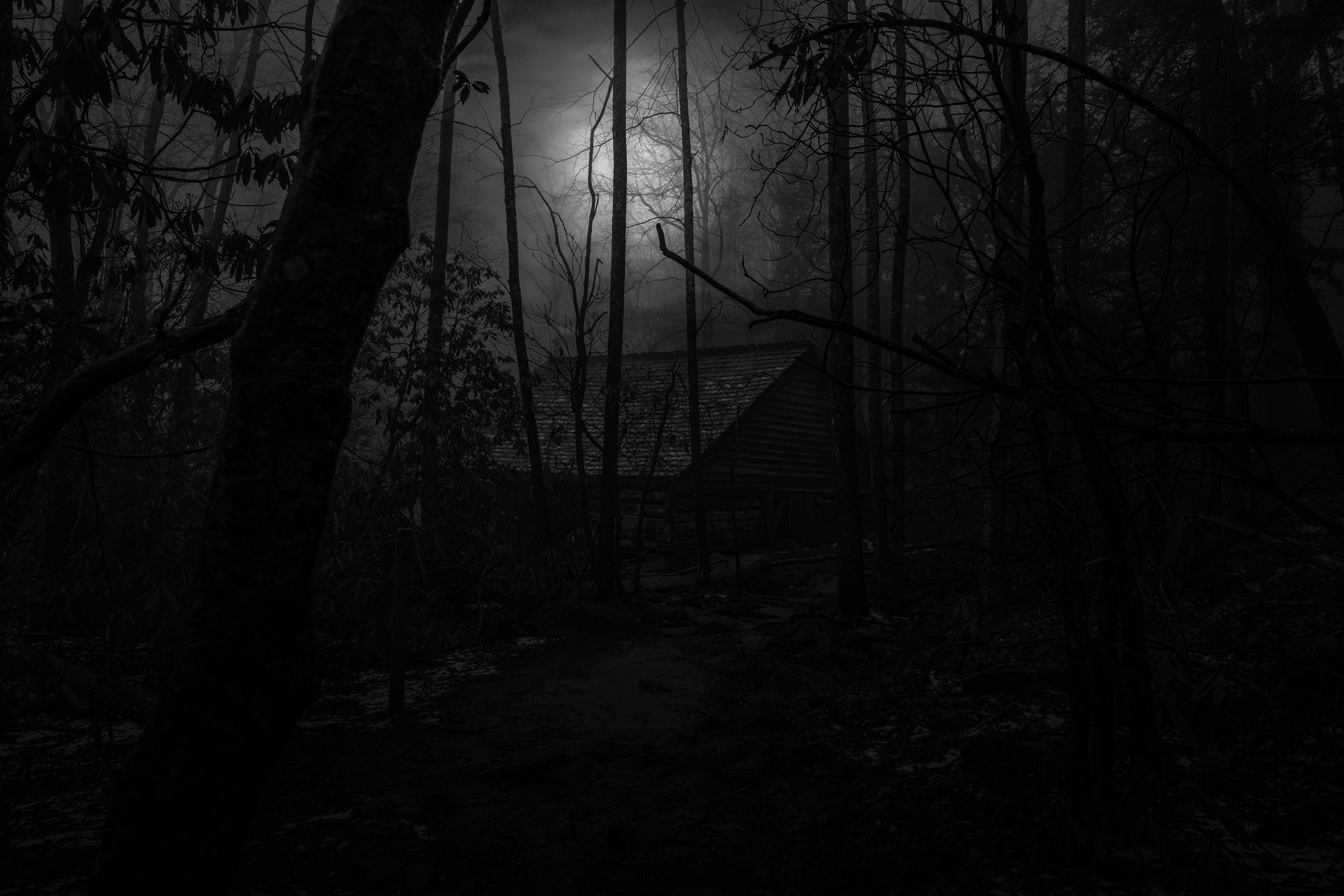 Moonlight Sonata