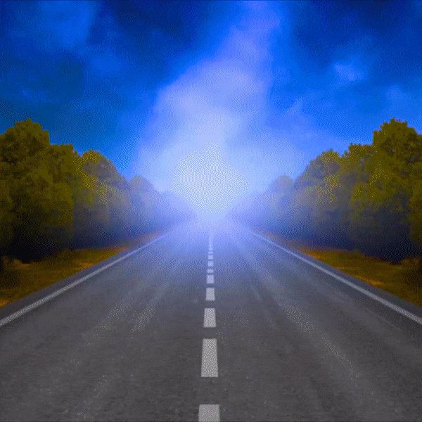 Ciobo SOUVENIR ROAD (Distance Series)