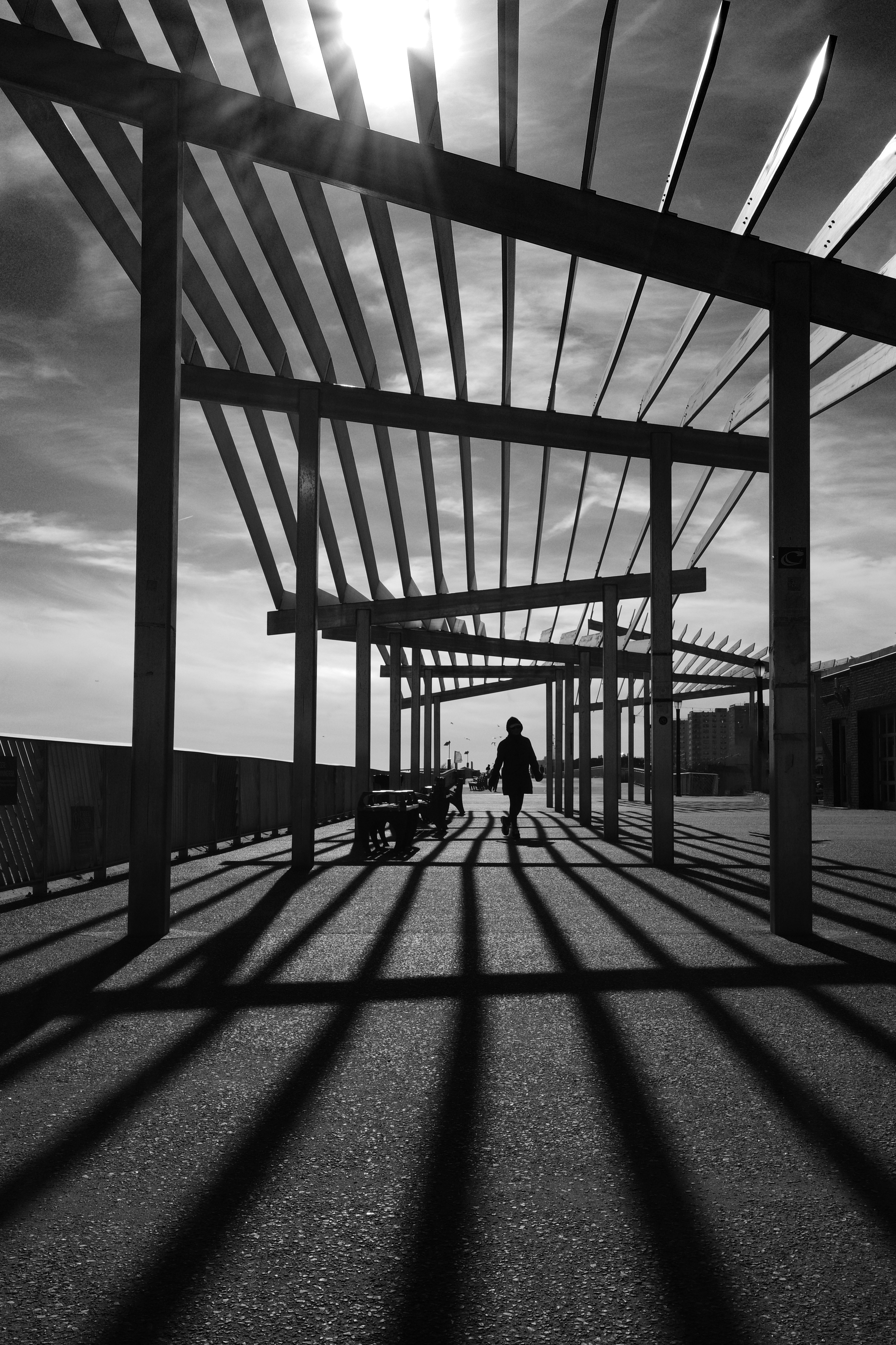 Walk The Line 
