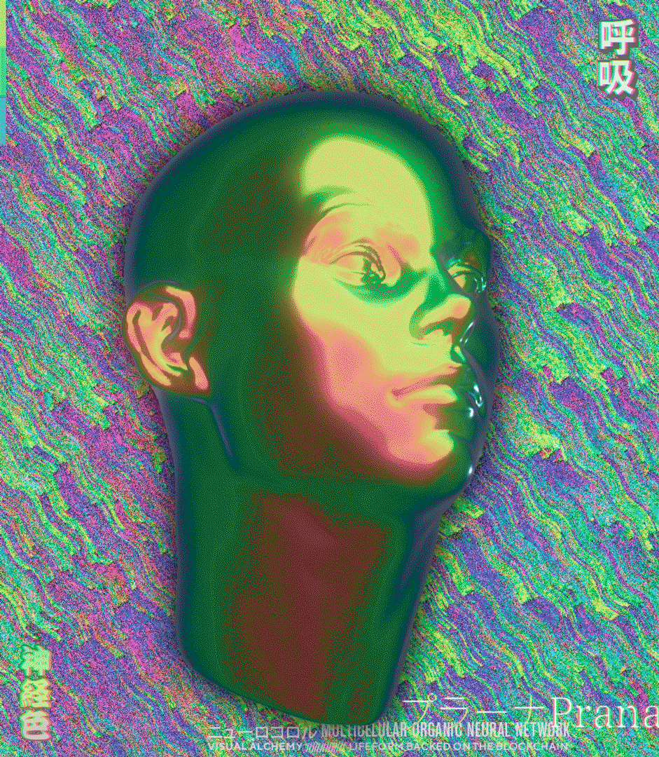 プラーナ - P r a n a