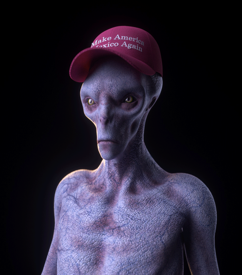 Illegal Alien