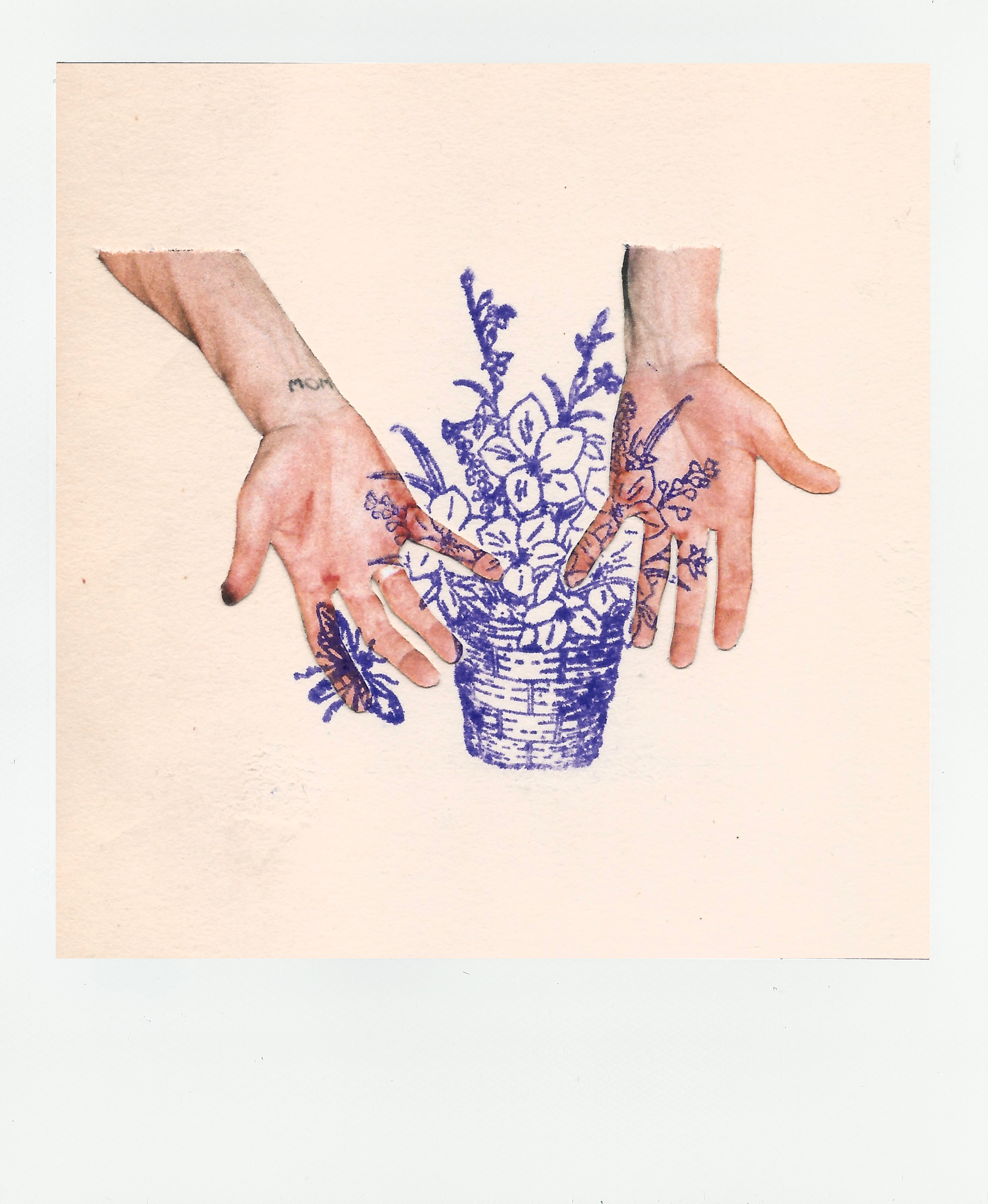 sowing the seeds of love