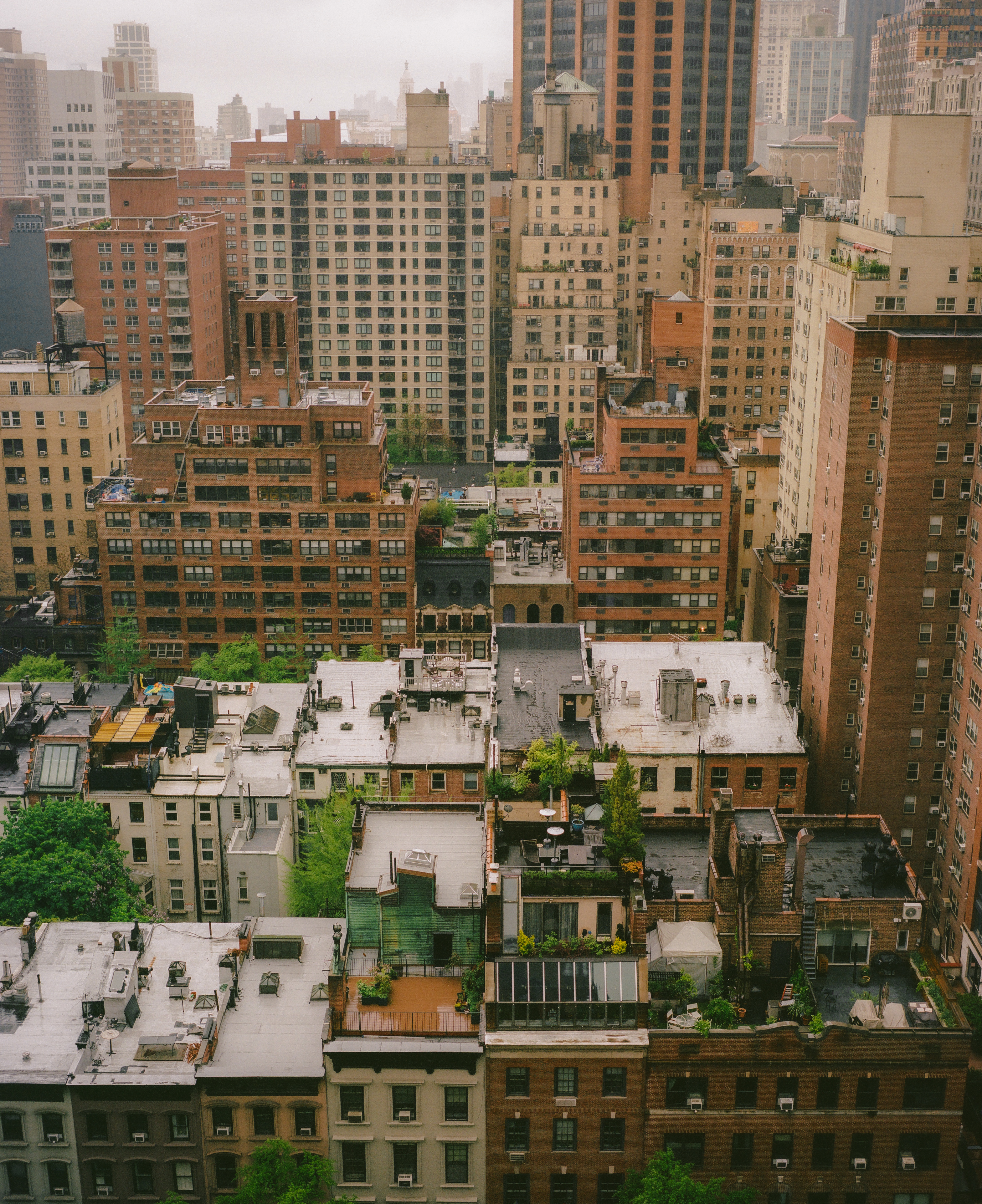 Urban Greens