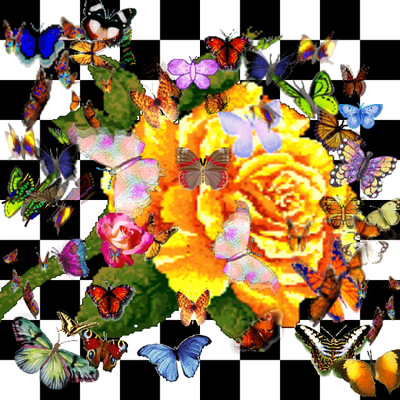 Butterfliez2000
