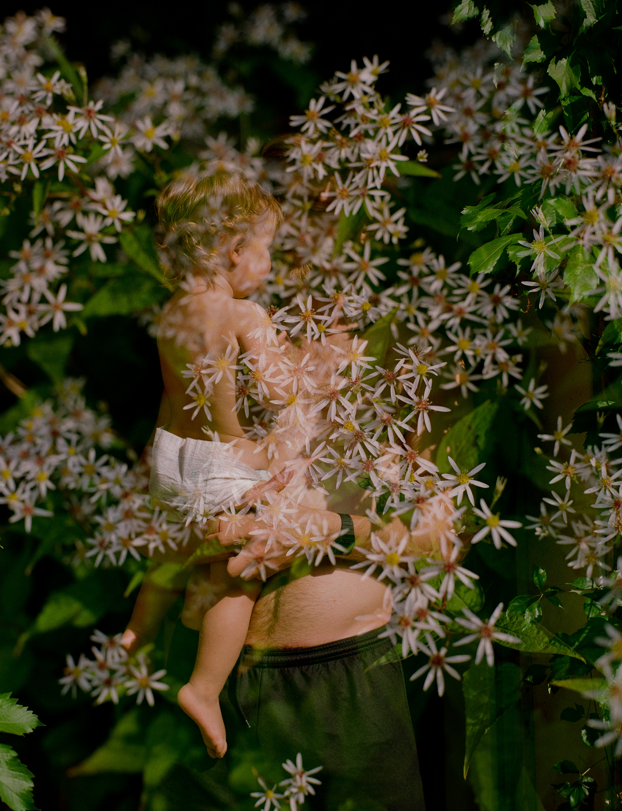 Ode to Spring