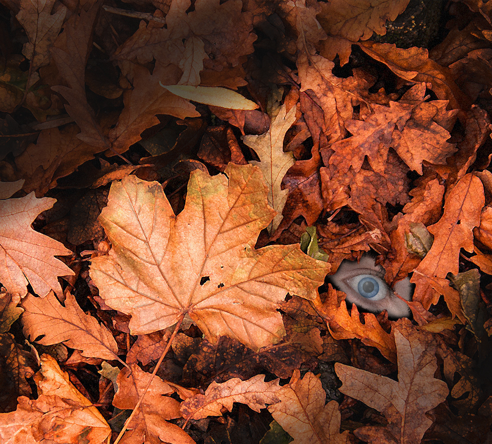 Fall