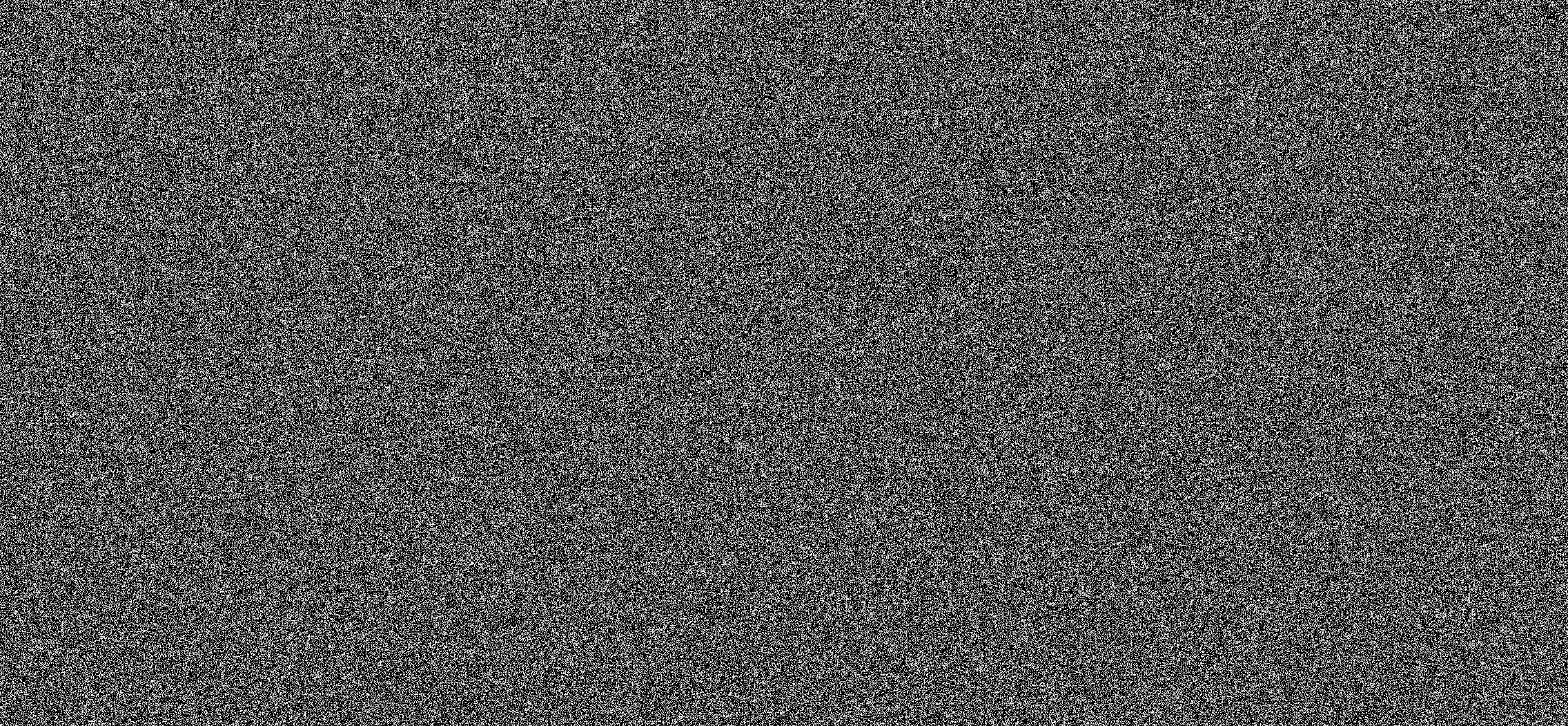 WE ARE NOISE