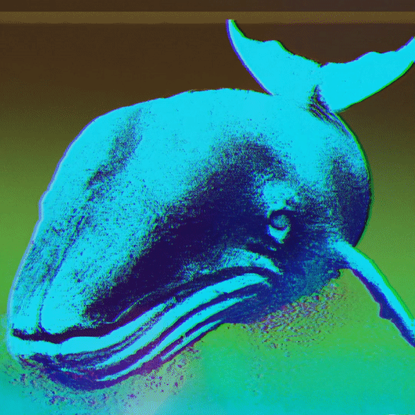 WHALE - SA#024