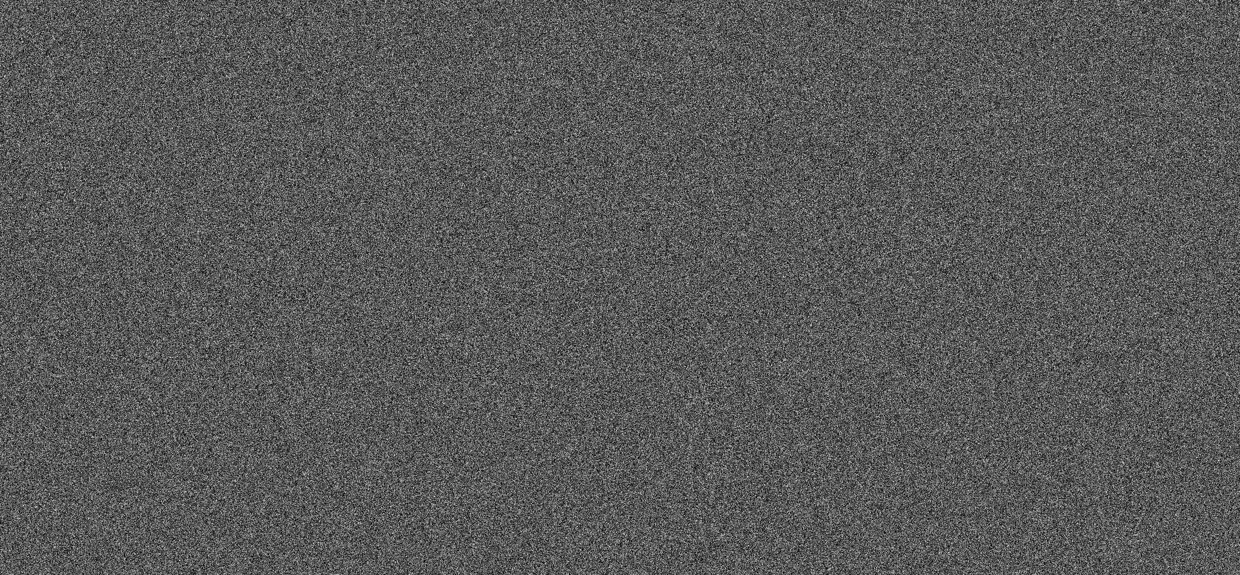 WE ARE NOISE