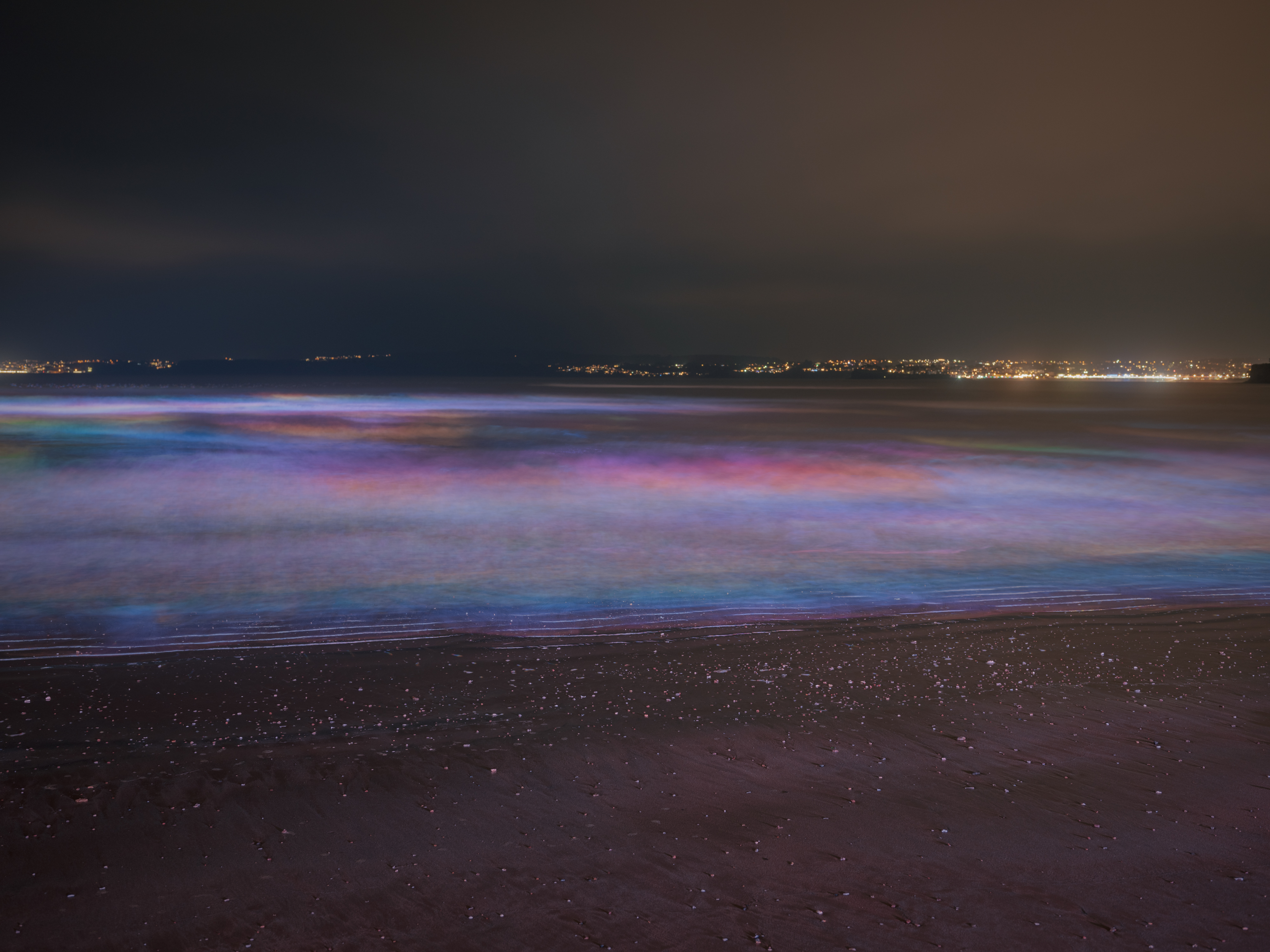 🌈Torre Abbey Sands 6