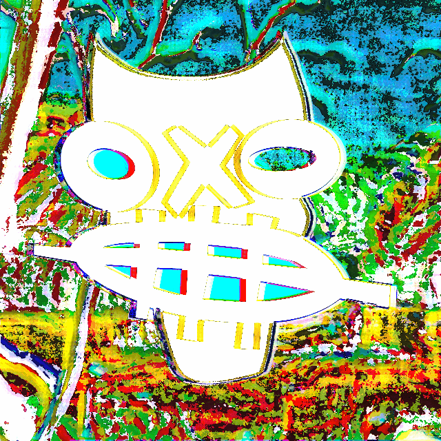 FACE521