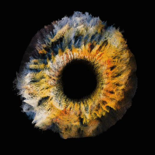 First Eye