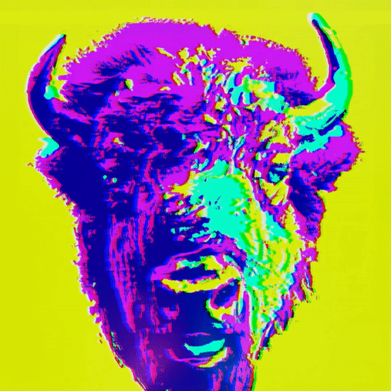 BISON - SA#005